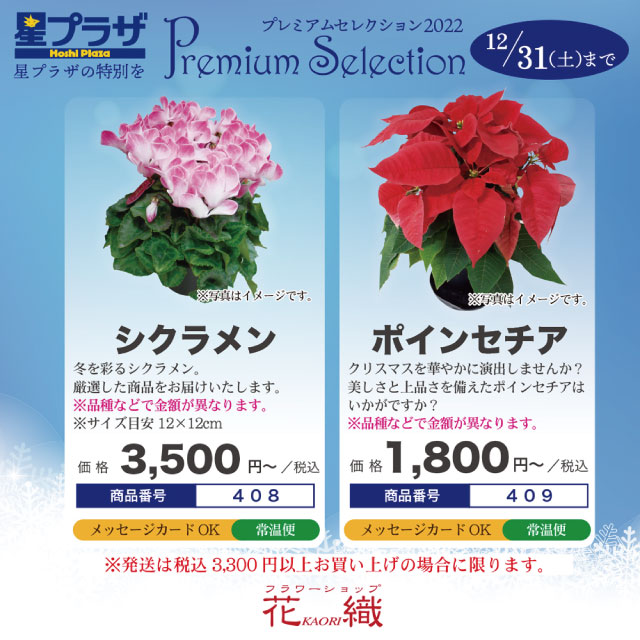 プレミアムセレクション